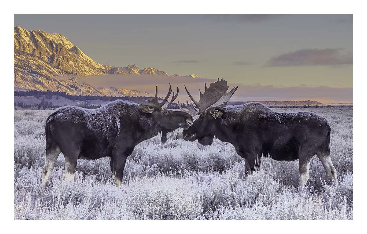 Grand Teton NP